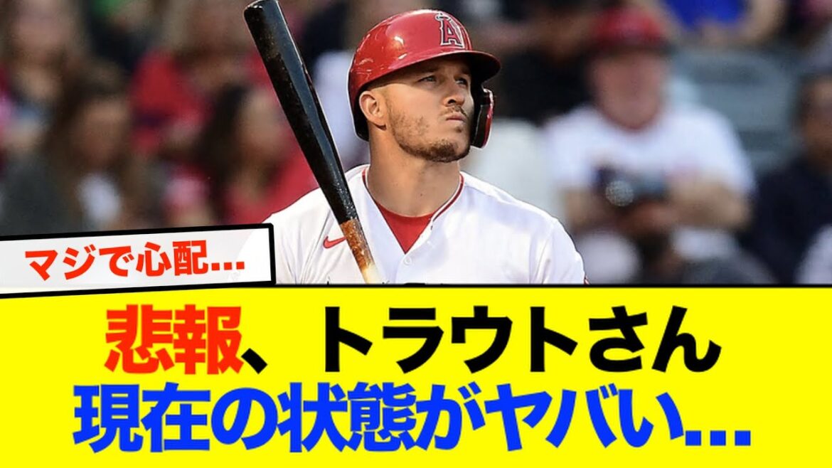 [Triste nouvelle]L'état de Trout après l'opération est terrible...