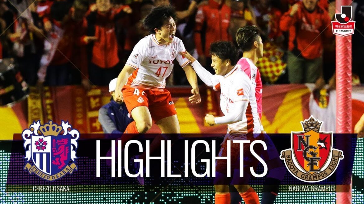 [Officiel]Temps forts : Cerezo Osaka contre Nagoya Grampus Meiji Yasuda Life J1 League Round 28 2018/11/6