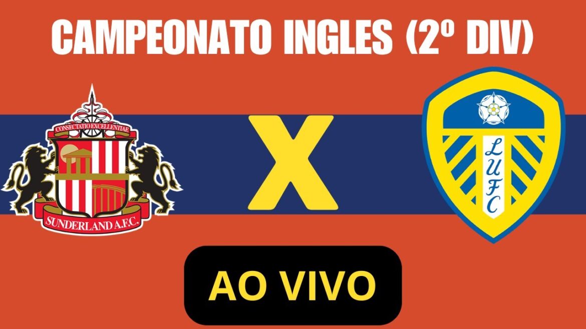 SUNDERLAND X LEEDS LIVE CHAMPIONNAT ANGLAIS DEUXIÈME DIVISION #championship #sunderland #leeds