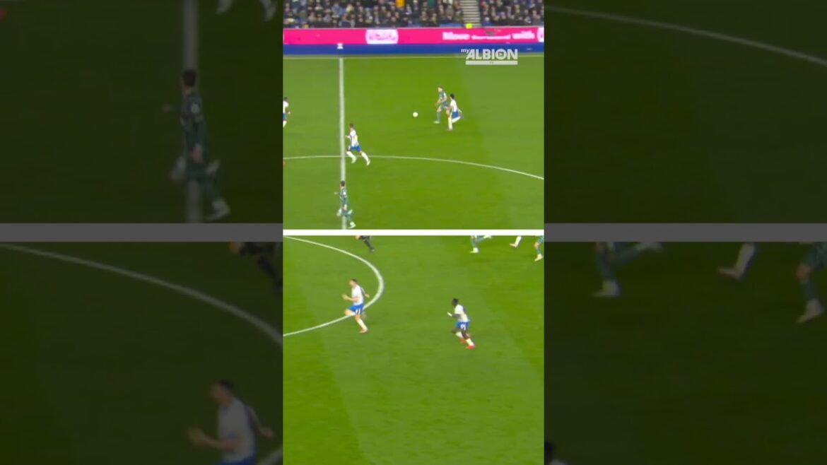 Mitoma, Minteh & Dunk SPRINT De retour 🥵 #brightonandhovealbion #tottenhamhotspur