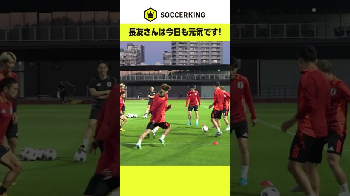 #Yuto Nagatomo demande à l'entraîneur Makoto Hasebe dans la cage à oiseaux ? 😂 Et comme d'habitude haha ​​! Ha! 🔥 #Équipe nationale de football du Japon #SAMURAIBLUE #jfa #FCTokyo #football #soccer