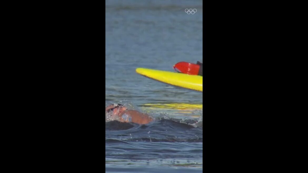 Médaille pour le poisson ? 🏅