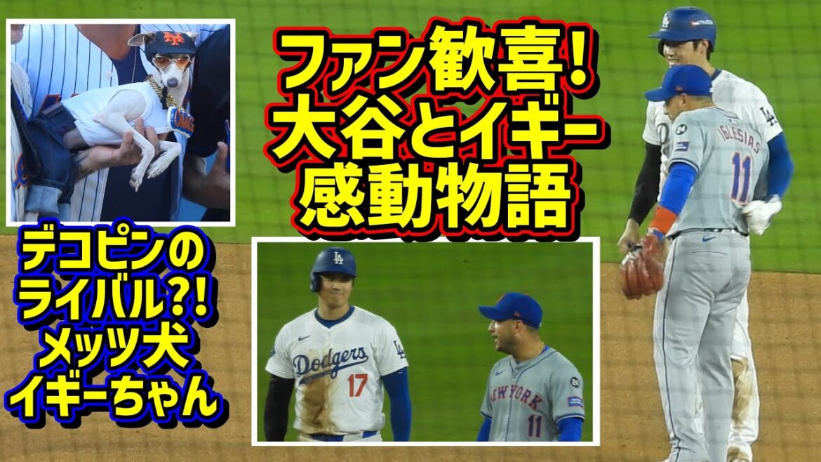 Joie!! ️Ohtani et Iglesias sur la base dans la série de championnats de la ligue...🥹Le rival de Decopin apparaît !😆[Vidéo locale]Post-saison NLCS10/13 contre Mets Game 1 ShoheiOhtani