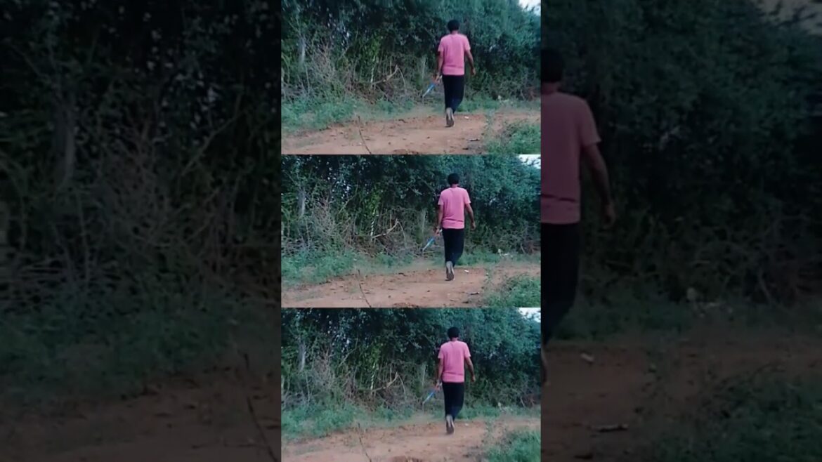 Soirée ✨#jevlinthrow #shortsfeed #javelinthrow #javelin #athlete #neerajchopra #india #shorts #yt