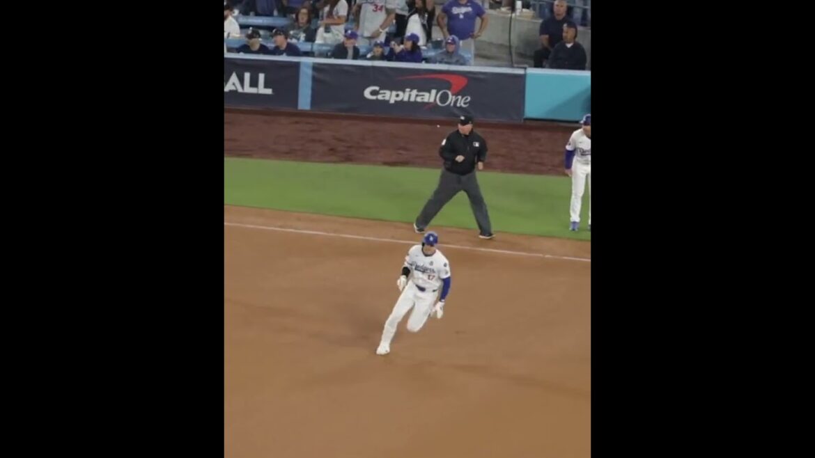 1 coup sûr supplémentaire... 2 célébrations différentes. Seulement Shohei Ohtani 🤩