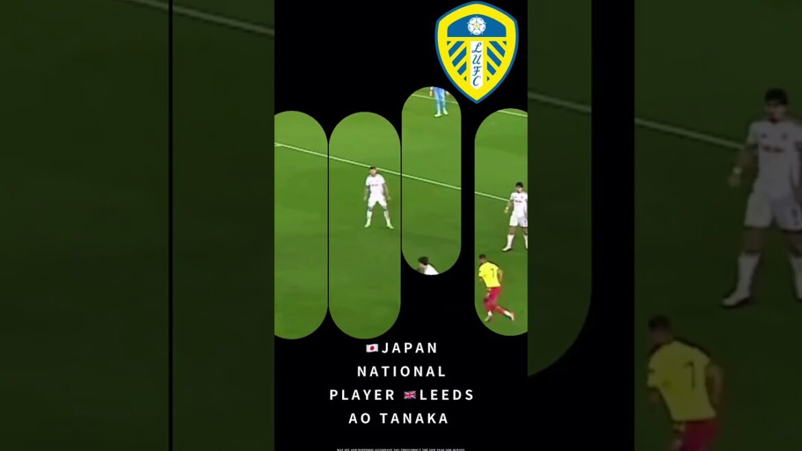 【Joueur talentueux Japon Ao Tanaka 】EFL Championship Leeds