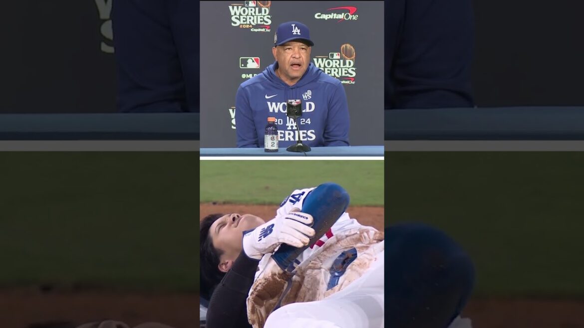 Dave Roberts fait le point sur Shohei Ohtani #mlb #baseball #Dodgers