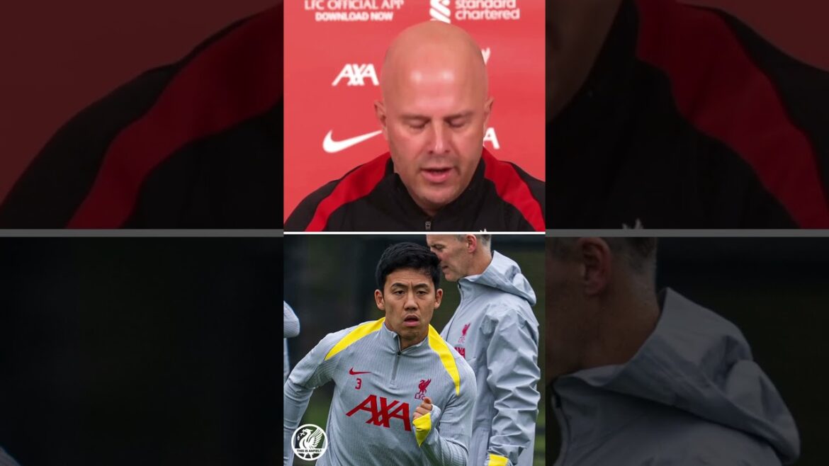 🇯🇵 On dirait que nous verrons Wataru Endo débuter contre Brighton puis #lfc