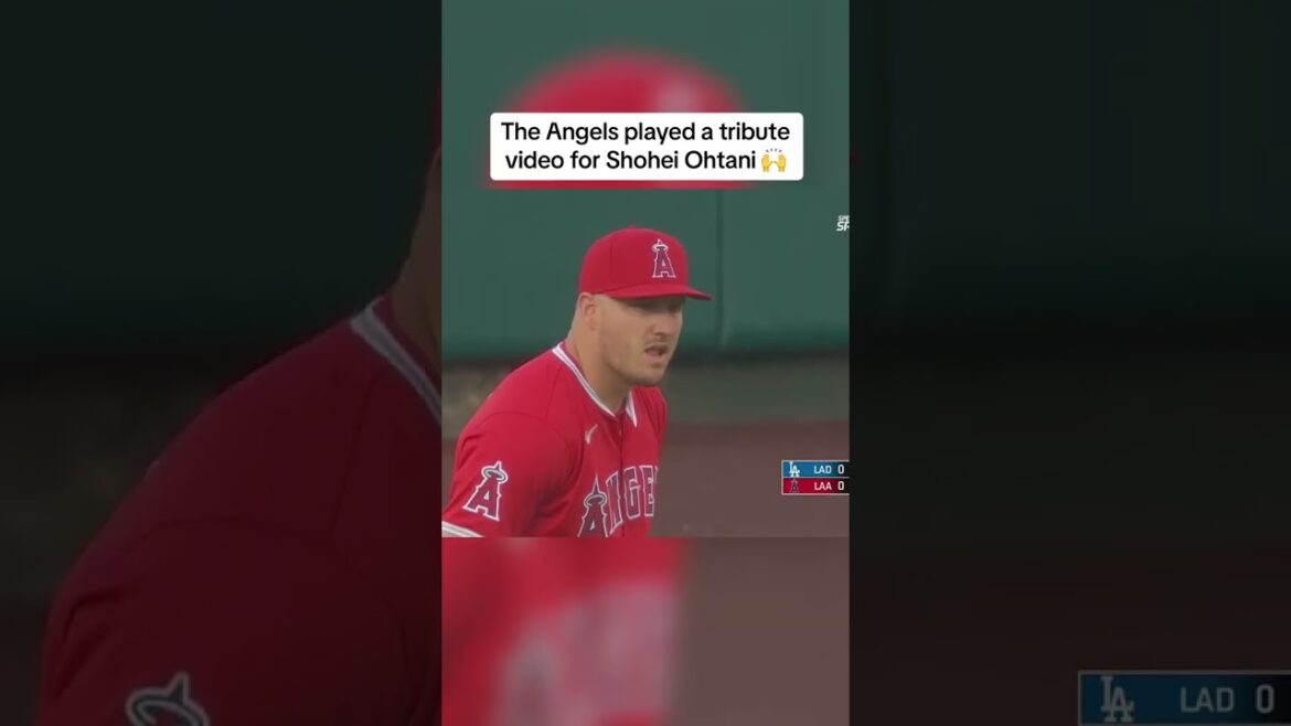 Les fans des Angels ont montré leur amour à Shohei lors de son retour au Angel Stadium ❤️ Les fans des Angels ont montré leur amour à Shohei lors de son retour au Angel Stadium ❤️