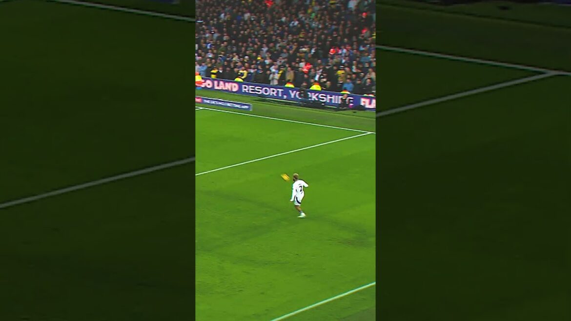 🇯🇵 Ao Tanaka dirige le spectacle pour Leeds United