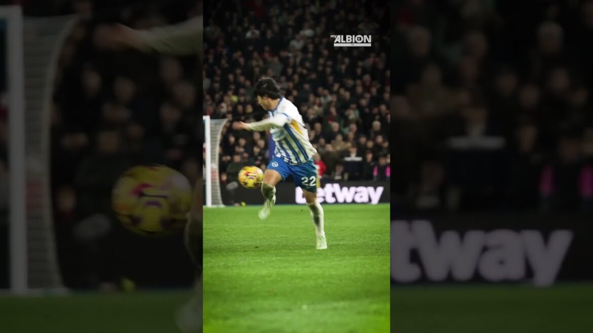 Mitoma Élégance 💫 #brightonandhovealbion #mitoma