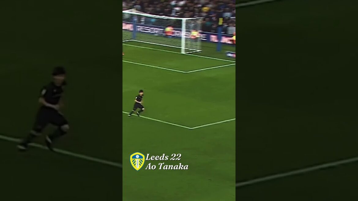 🇫🇷Compétences de passes courtes et longues 🇯🇵Ao Tanaka 🇫🇷Compétences de passes courtes et longues 🇯🇵Ao Tanaka