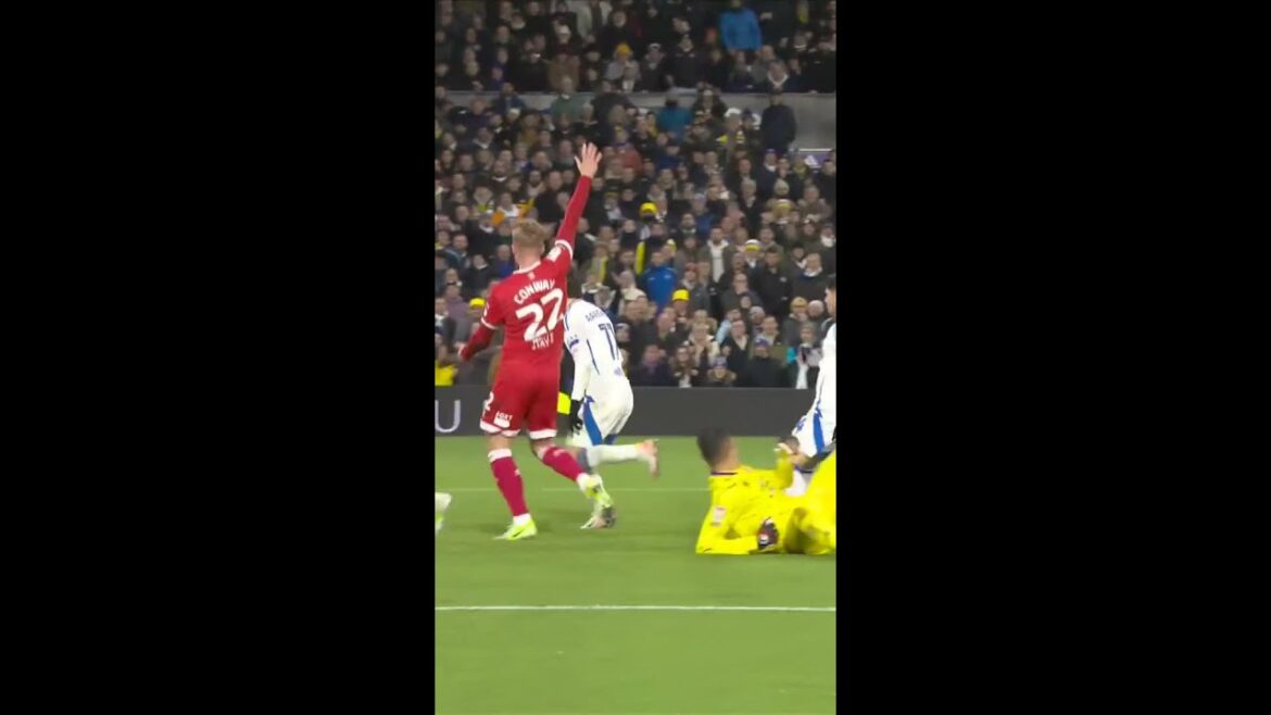 Belle passe décisive d'Ao Tanaka 🇯🇵 🤌 #lufc