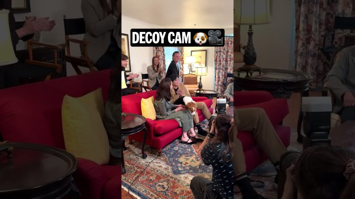 Shohei Ohtani est votre MVP NL 2024... et Decoy ne l'a pas 🤣