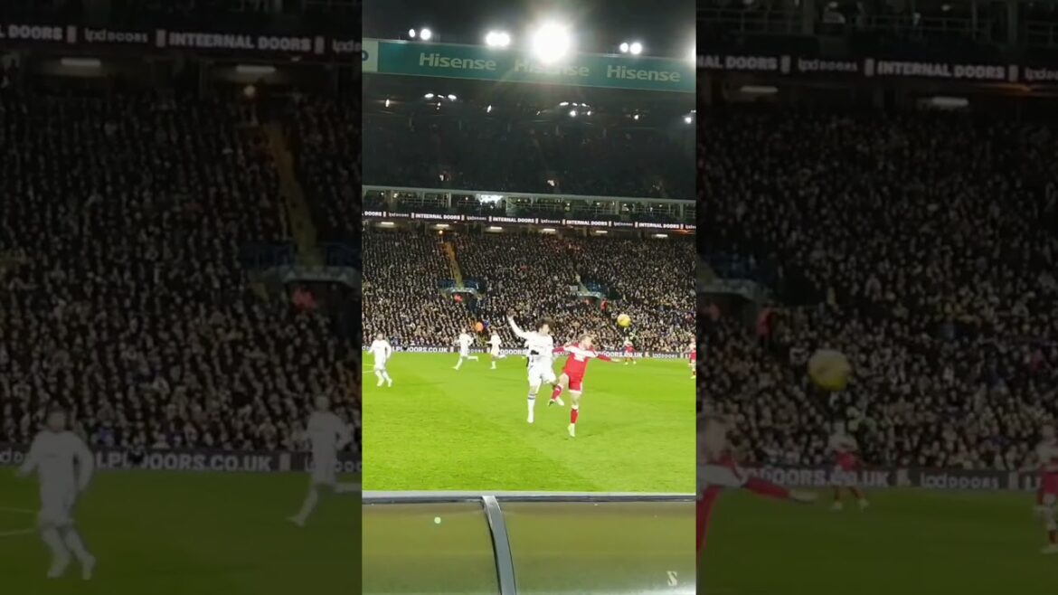 Leeds United Ao Tanaka à Elland Road contre Middlesbrough n’a pas grand-chose à faire. #leedsunited #mot