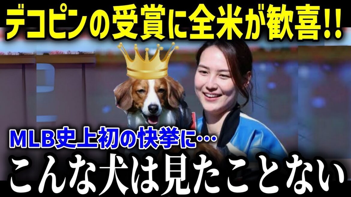 Dekopin, le chien du MVP Otani, remporte le prix pour la première fois ! « Je n'ai jamais vu un chien comme celui-ci ! » Les joueurs vedettes sont choqués par la génialité de Dekopin ![Réaction à l'étranger/MLB/Major/Baseball]
