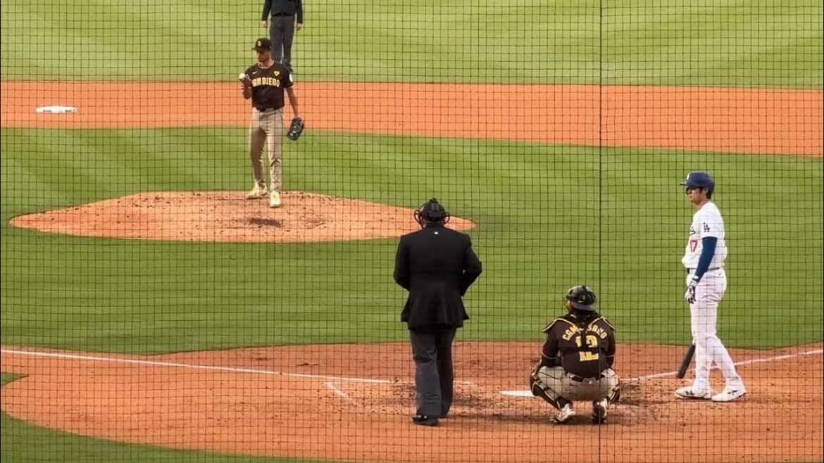 [4 millions de vues en bref]Le lanceur Darvish confirme que le ballon convient à Ohtani