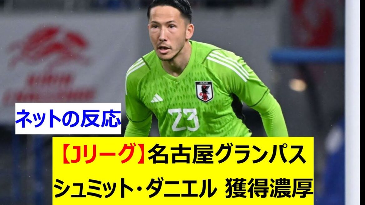 [J League]Nagoya Grampus est susceptible d'acquérir l'ancien représentant du Japon Schmidt Daniel dans le cadre d'un transfert permanent
