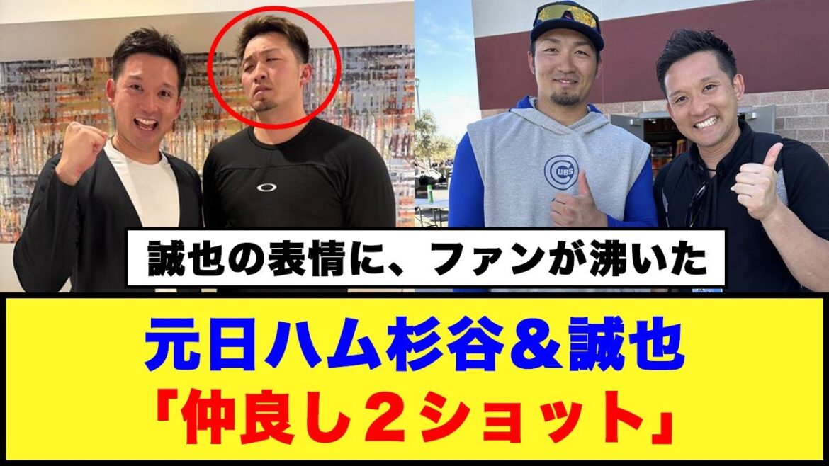 [Les fans étaient enthousiasmés par l'expression de Seiya]Ham Sugitani et Seiya du Nouvel An "Deux coups d'amitié" #Nippon Ham Fighters #Kenshi Sugitani #Seiya Suzuki
