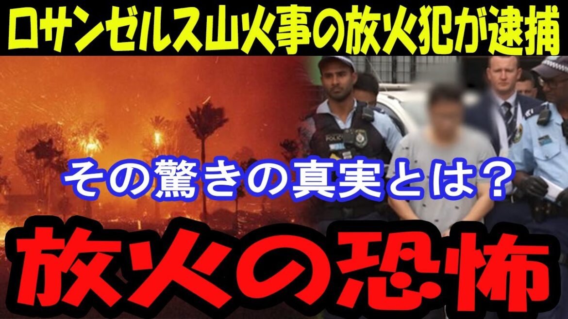 [Dernières nouvelles]Un pyromane pris dans un incendie de forêt à Los Angeles ! La vérité sur le crime qui a causé des dégâts considérables