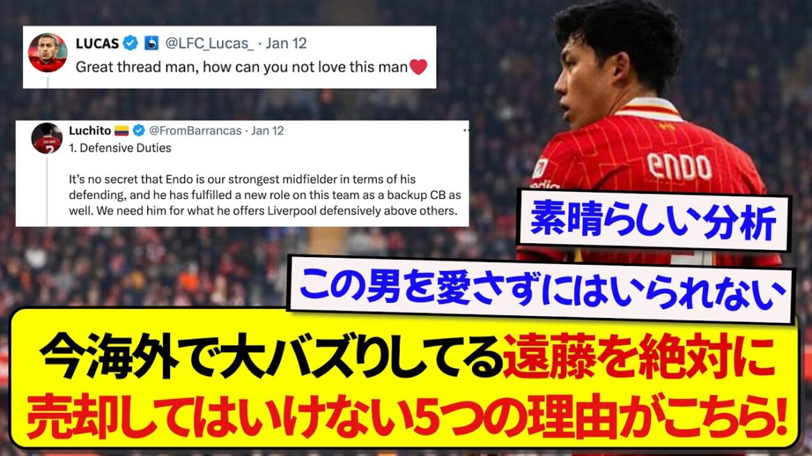 [Bonne nouvelle]Les 5 raisons pour lesquelles vous ne devriez jamais vendre Endo auprès d'un support étranger, qui reçoit actuellement des critiques élogieuses à l'étranger, sont tout simplement trop bonnes ! ! ! ! !