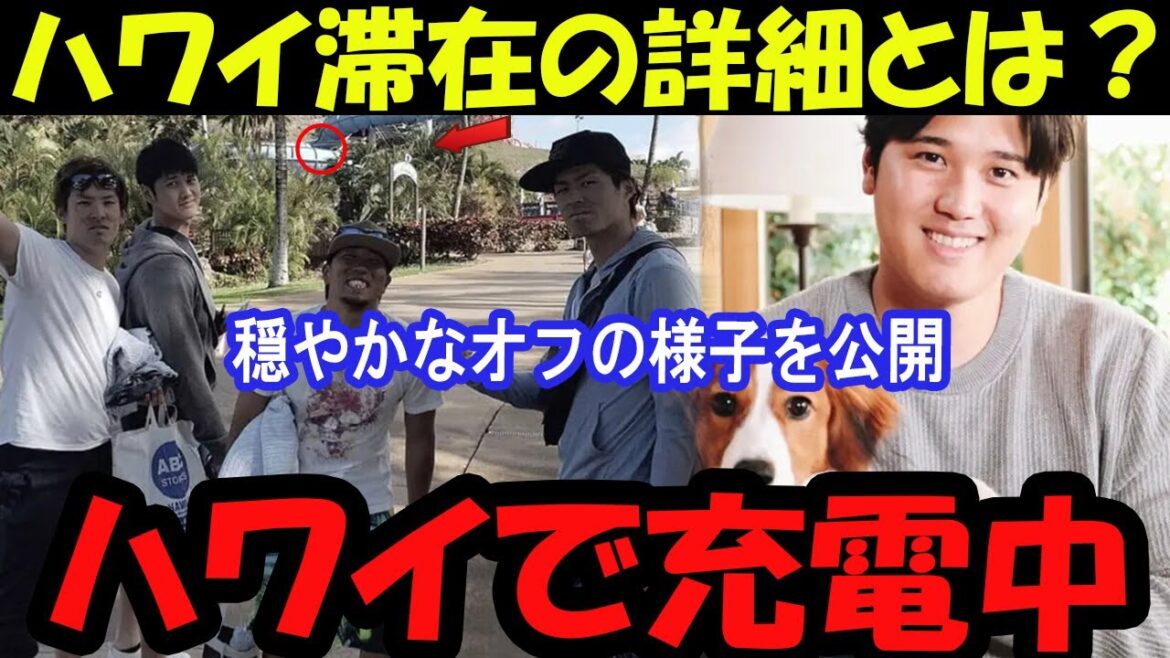 La dernière photo de Shohei Otani est devenue un sujet brûlant ! Détendez-vous à Hawaï avec votre chien Dekopin !