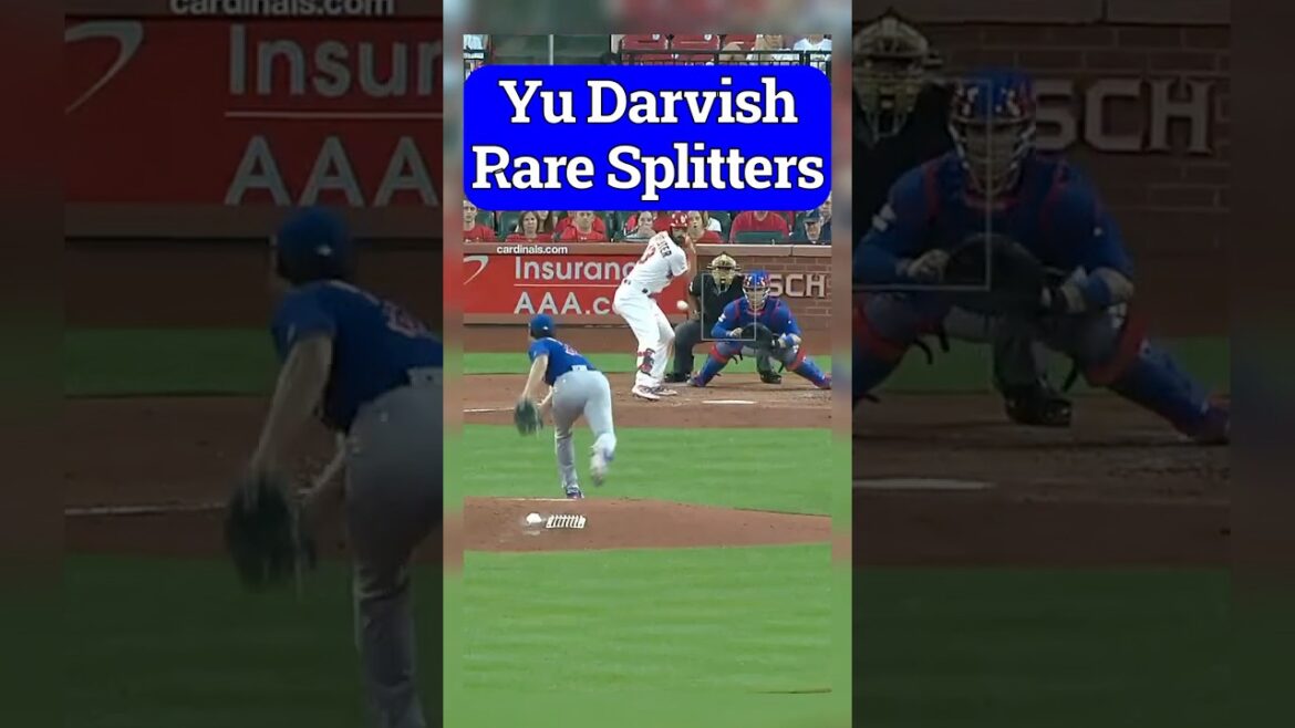 Yu Darvish Séparateurs rares