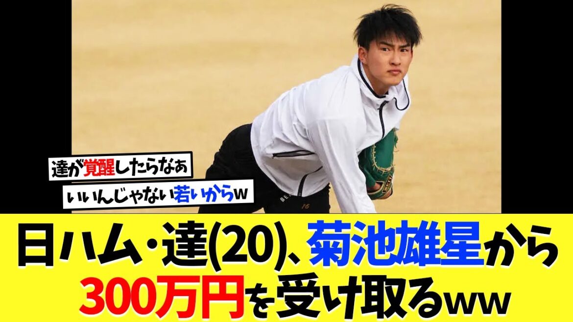 Kota Tatsu (20 ans) de Nippon-Ham reçoit « environ 3 millions de yens » de Yusei Kikuchi pour sa quatrième année de succès[Baseball professionnel][Baseball][Nanj][Nanj][5ch][2ch][ Koshien][MLB]