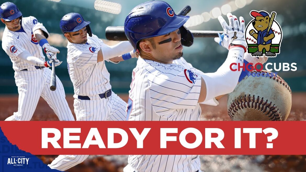 Seiya Suzuki prêt pour le rôle de DH des Chicago Cubs en 2025 | Podcast des Cubs de CHGO Seiya Suzuki prêt pour le rôle de DH des Chicago Cubs en 2025 | Podcast des Cubs de CHGO