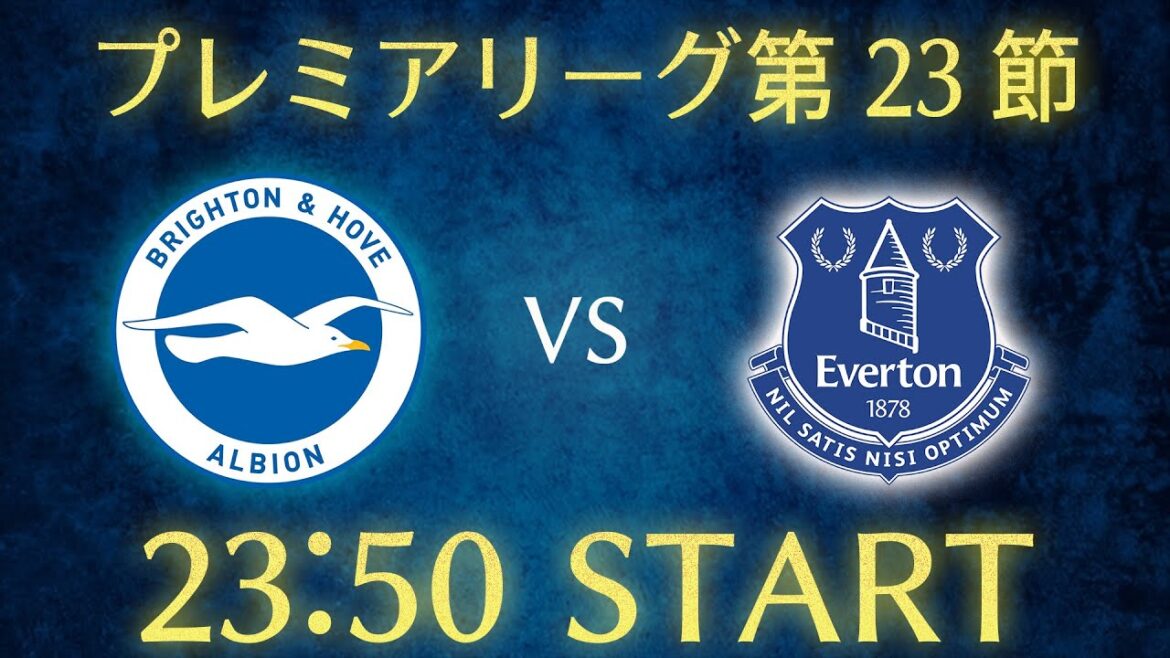 [Kaoru Mitoma]Diffusion en direct du chat Brighton vs Everton/Premier League Round 23