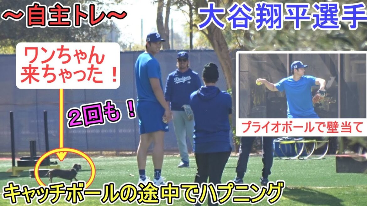 Boules Prio avec des coups muraux et des balles de capture[Shohei Otani]Un chien mignon est venu deux fois au milieu de la balle de capture ~ Shohei Ohtani 2025 Spring Training