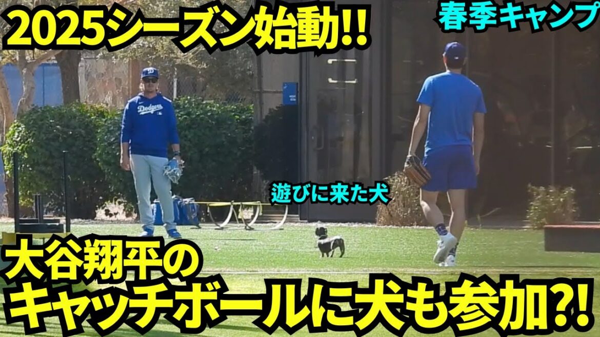 Un incident rare pendant la balle de capture d'Otani w shohei otani[vidéo locale]entraînement de printemps