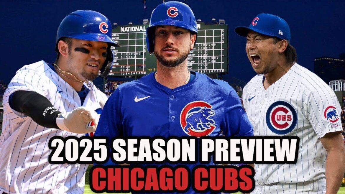 Cubs de Chicago 2025 Aperçu de la saison MLB
