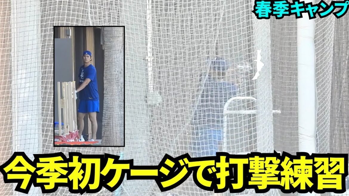 Première fois au camp cette saison! Otani Shohei s'entraîne au bâton dans une cage[séquences locales]Formation de printemps le 6 février 2025