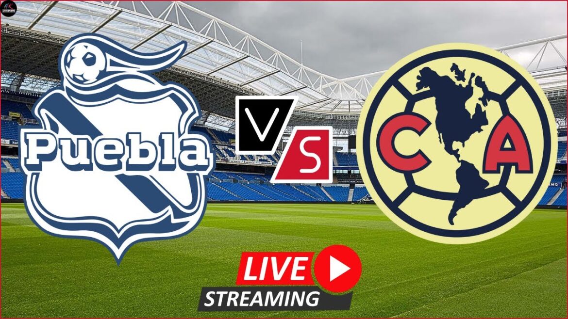 Live Puebla U23 vs Club America U23 | Match en direct Liga MX U23 aujourd'hui
