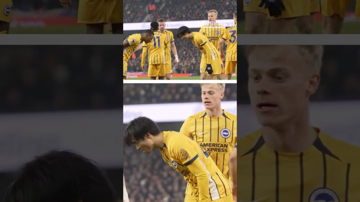 Kaoru Mitoma 💙🤍 Pervis Estupinan #Mitoma #premierleague