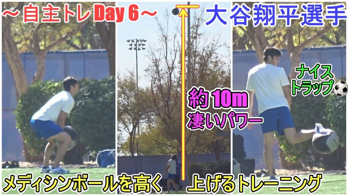Formation pour élever le Medicine Ball High[Otani Shohei]- Jour 6 - Shohei Ohtani 2025 TRACINE DE PRINTEMPS