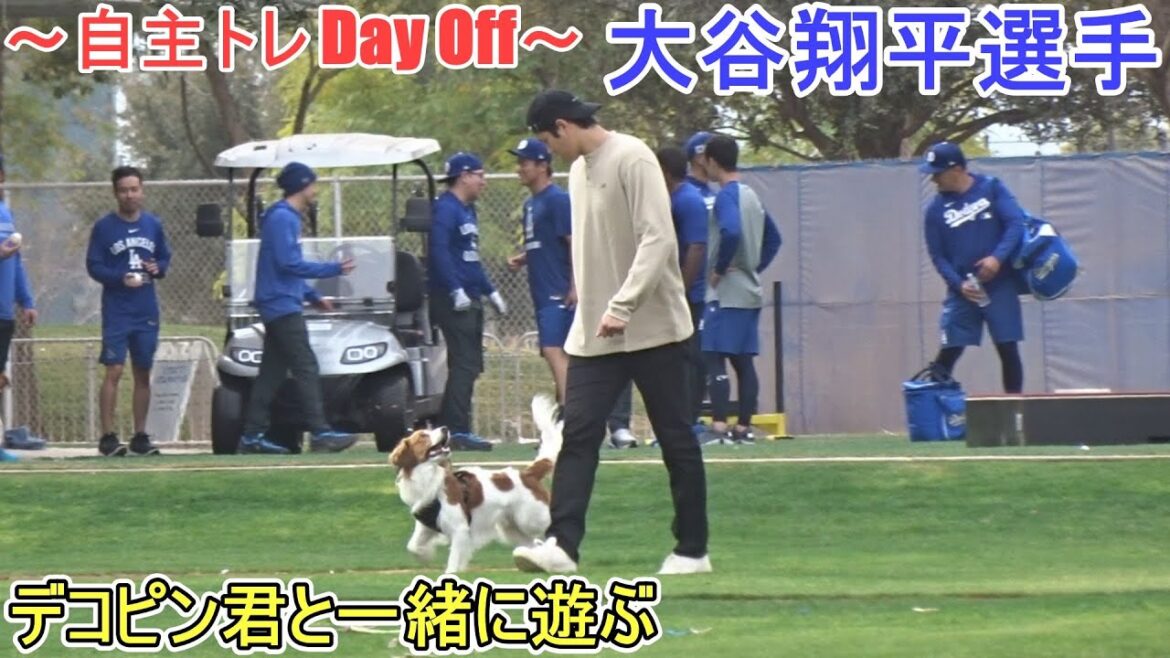 Jouez avec décopine![Otani Shohei]~ Day de congé auto-formation ~ Shohei Ohtani 2025 TRACINE DE PRINTEMPS