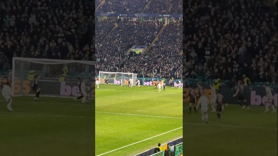 Daizen Maeda marque contre le Bayern Munich #celticfc #BAYERNMUNICH #CHAMPIONSLEAGE #FOOTBALL #CELTIC