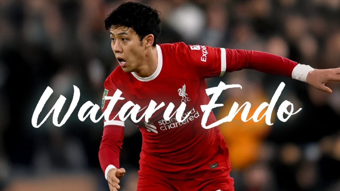 [Fighter n ° 1 du Japon]Une collection de pièces qui sont remplies de tout d'Endo Kou.