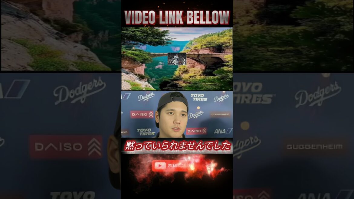 [Otani Shohei]"Je voulais vous aider au moins un peu" annonce le soutien du Wildfire LA! Les fans ont loué la décision urgente[Otani Shohei Reaction à l'étranger]M4 #BaseBallHighlights #Shoheiotani