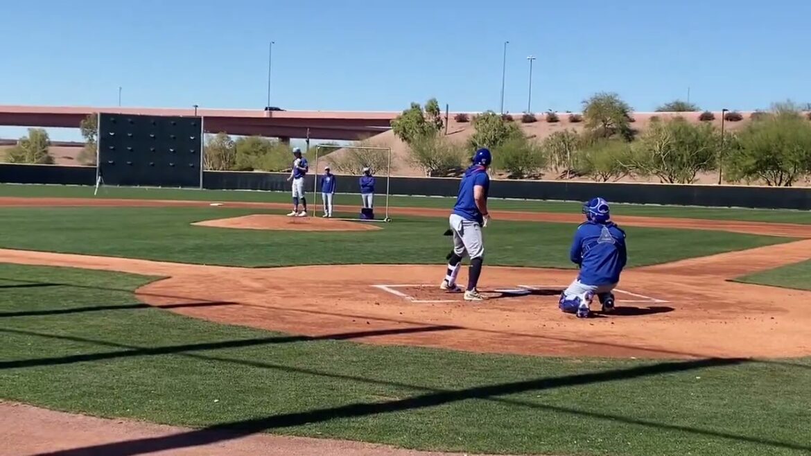 Ben Brown contre Seiya Suzuki Live Tatting Practice! Chicago Cubs (2025 MLB Spring Training)