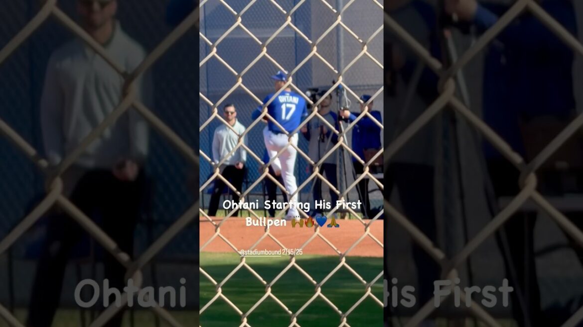 Shohei Otani d'Ohtani, premier enclos,!