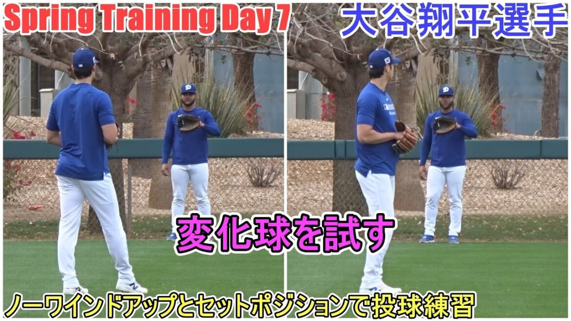Pratiquer le tangage en position de non-vent et de réglage[Otani Shohei]~ Jour de Sputtre 7 ~ Shohei Ohtani 2025 Spring Training Jour 7
