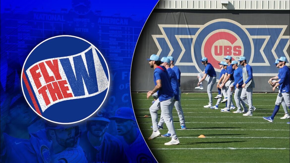 Les joueurs de position des Cubs se présentent à l'entraînement printanier | Volez le W, EP. 274