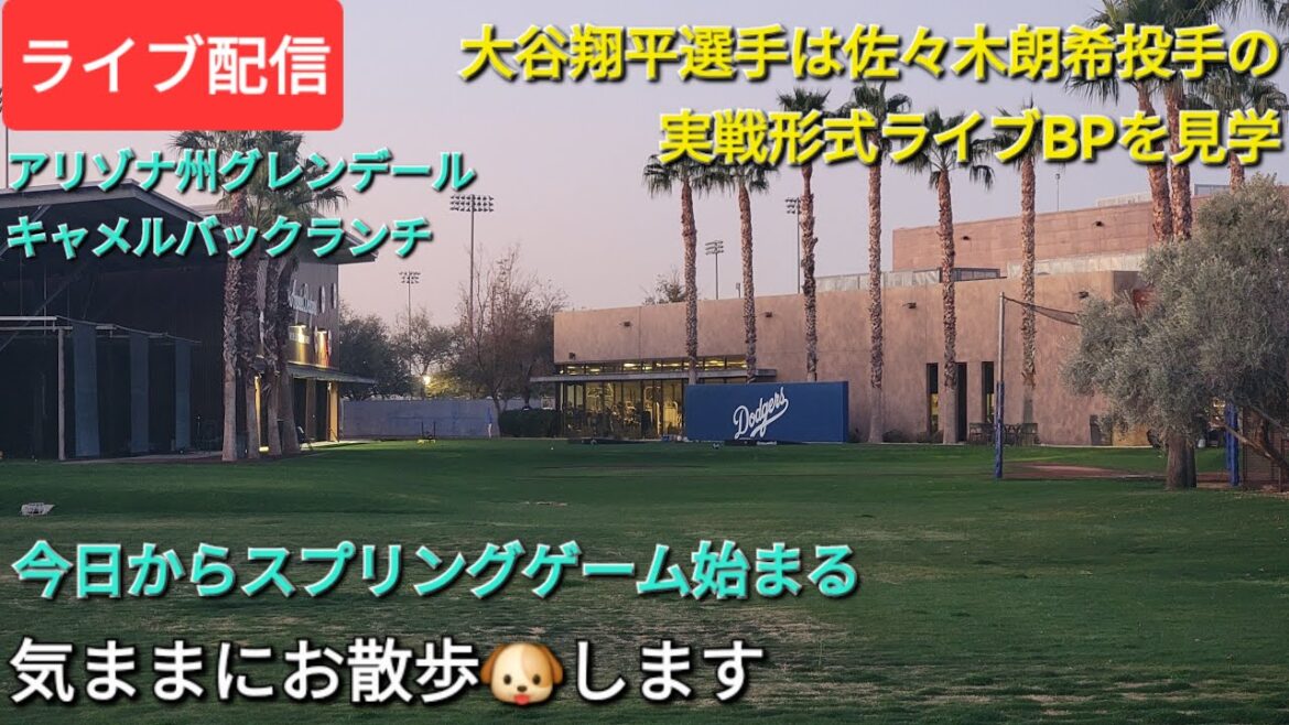 [Streaming en direct]Otani Shohei regardera le jeu de BP en direct du lanceur Sasaki Roki ⚾️ Le jeu de propriété commence aujourd'hui - nous allons prendre une promenade tranquille🐶💫hinsuke Handyman est maintenant disponible pour le streaming en direct!