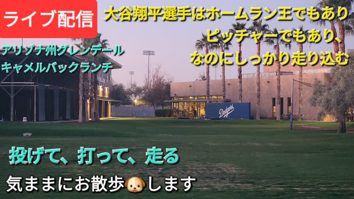 [Streaming en direct]Otani Shohei est un home run et un lanceur, mais fonctionne toujours dur ⚾️ Je vais me promener à mon propre rythme🐶💫hinsuke à la main est maintenant disponible pour le streaming en direct!