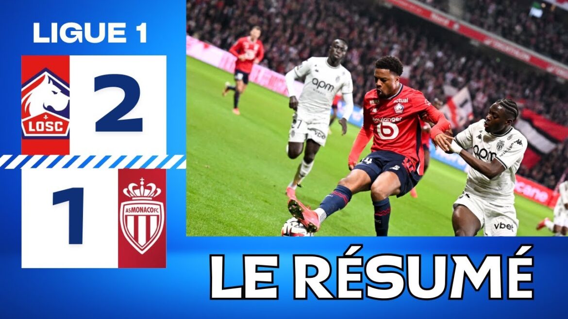 Lille - Monaco | 2-1 | Faits saillants | Ligue 1 2024-25 | Lille Monaco