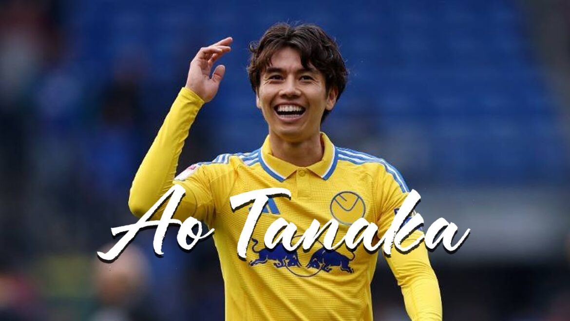 [Le milieu du col]la collection de jeux de Tanaka Aoi remplie de tout.