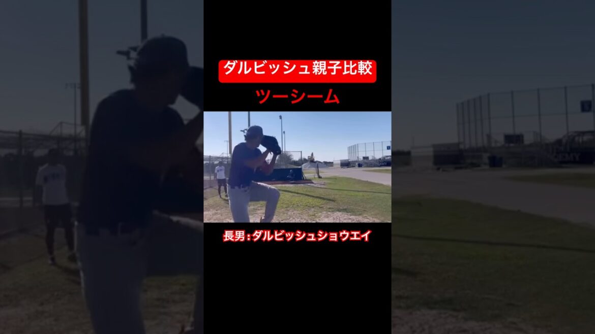[Parent descriptif et enfant]Darvish Parent and Child Comparon #shorts